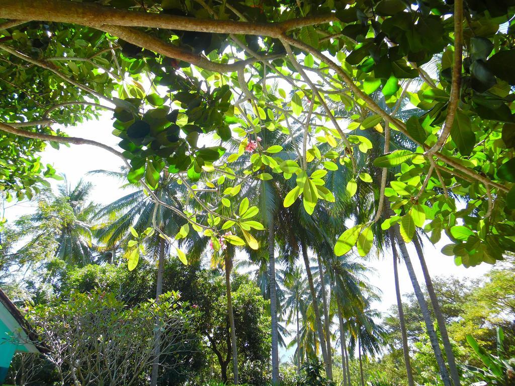 Lazy Monkey Otel Senggigi Dış mekan fotoğraf